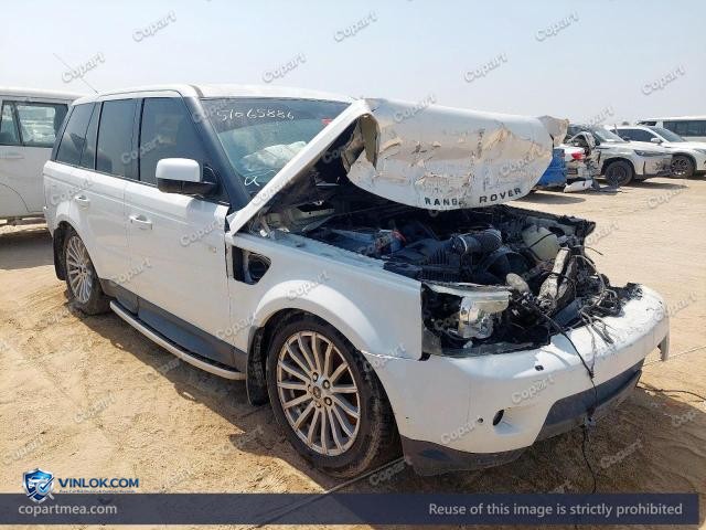 Auction photo