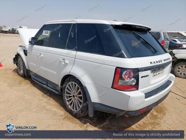 Auction photo