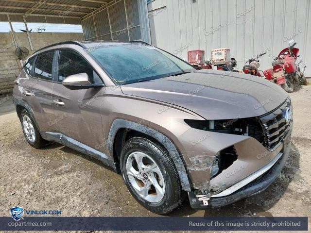 Auction photo