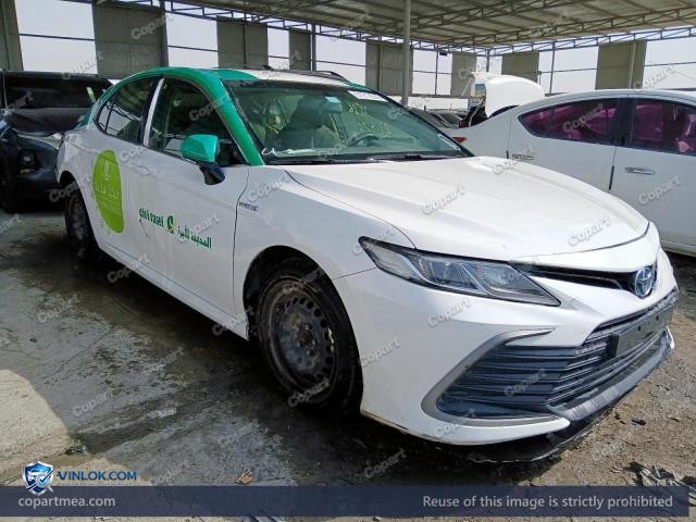 Auction photo