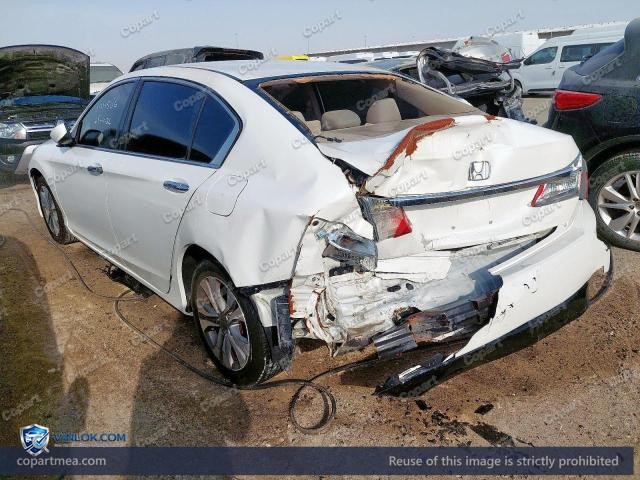 Auction photo
