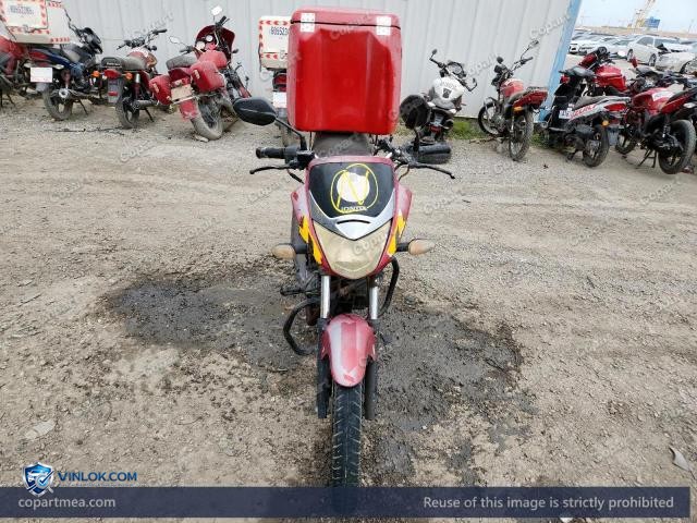 Auction photo