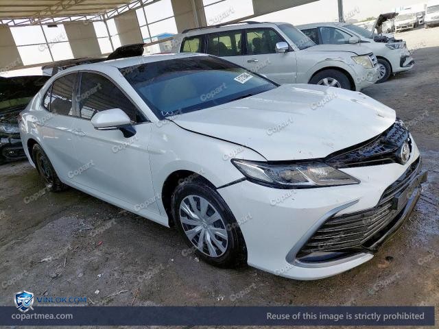 Auction photo