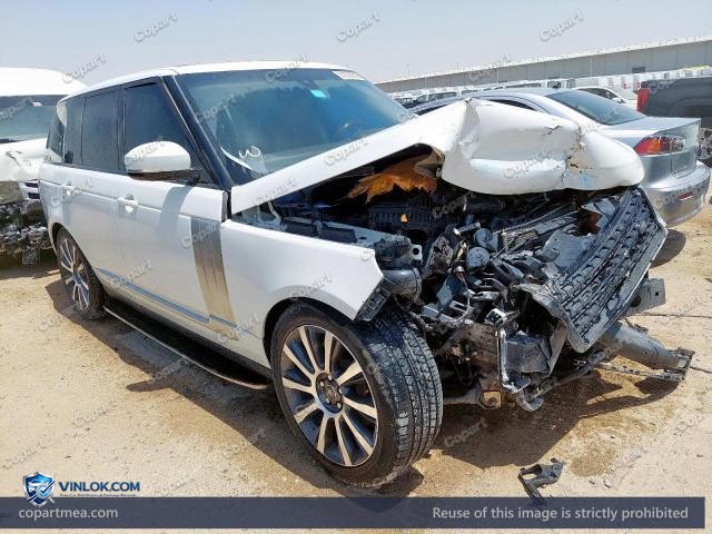 Auction photo