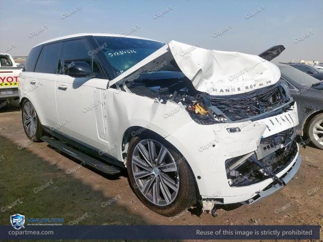 Auction photo
