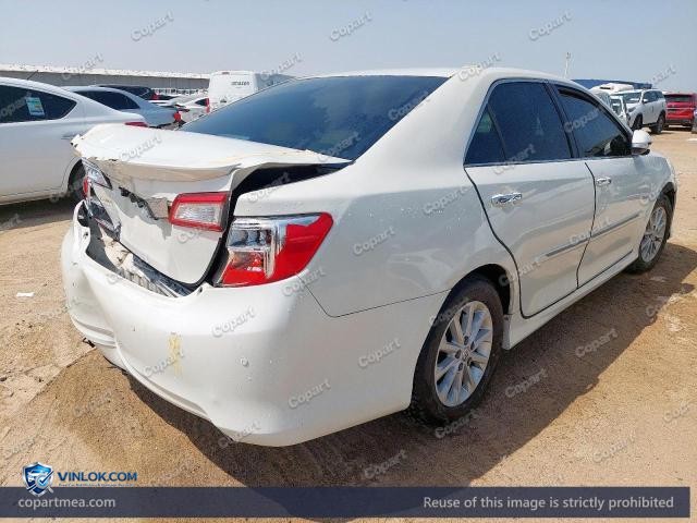Auction photo