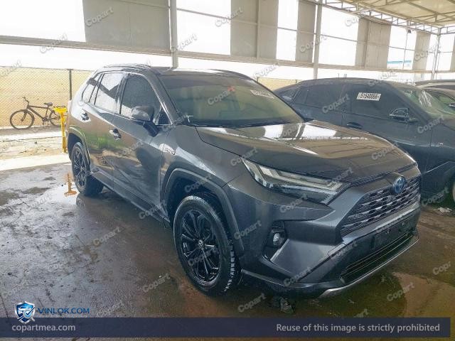 Auction photo