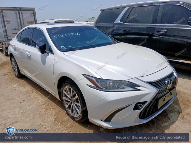 2023 LEXUS ES 300H — Lot 51237246 auction photo