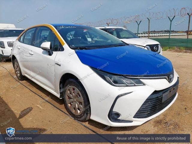 Auction photo