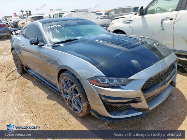 Auction photo
