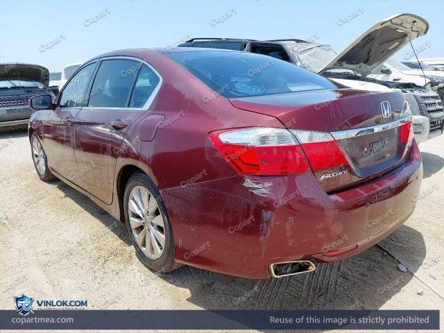 Auction photo