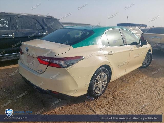 Auction photo