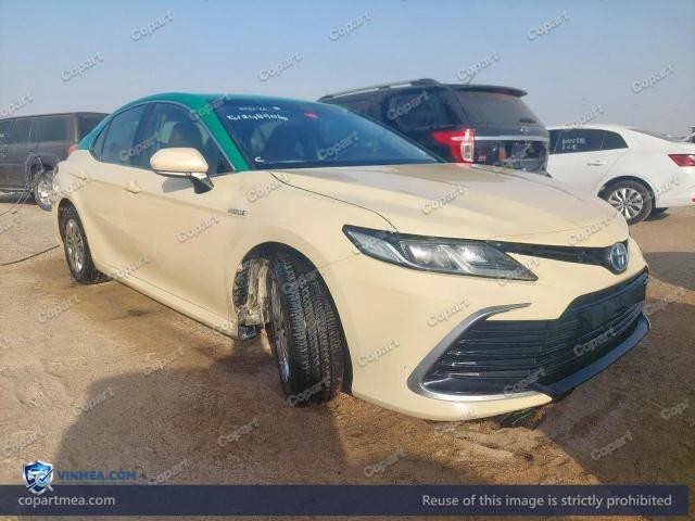 Auction photo