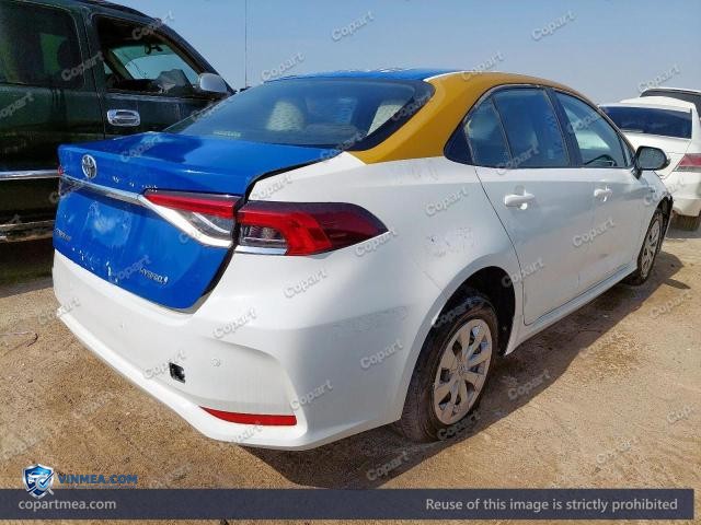 Auction photo