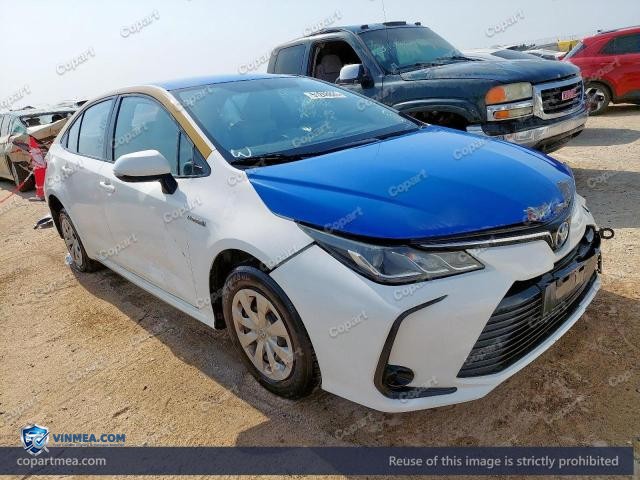 Auction photo