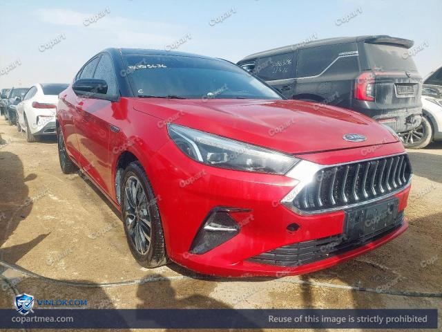 Auction photo
