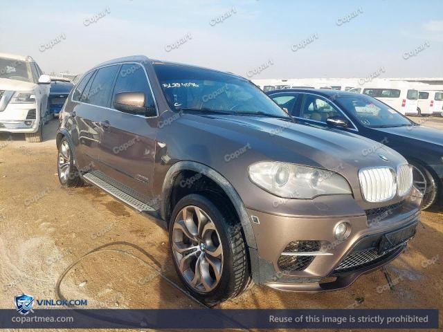 Auction photo