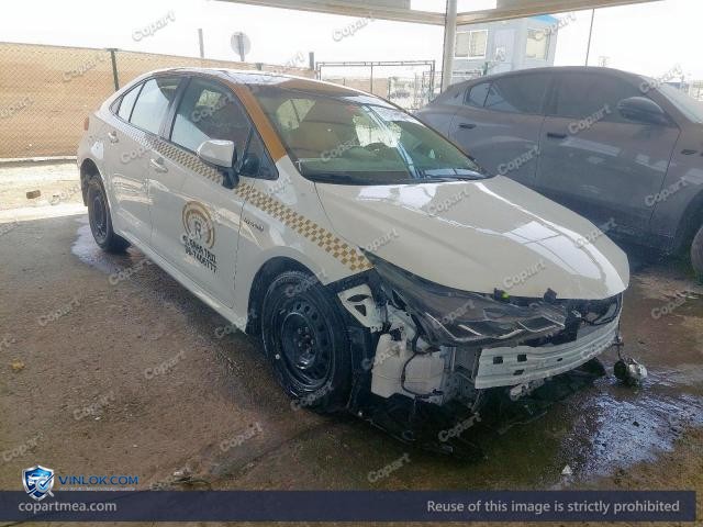 Auction photo