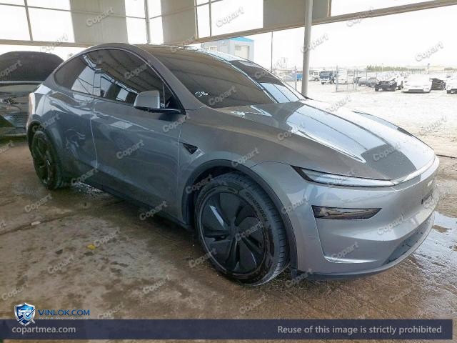 2025 TESLA MODEL Y — Lot 51384676 auction photo