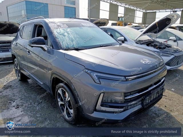 2024 JAC JS4 — Lot 51387096 auction photo