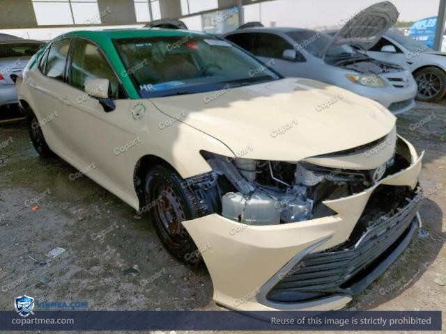Auction photo