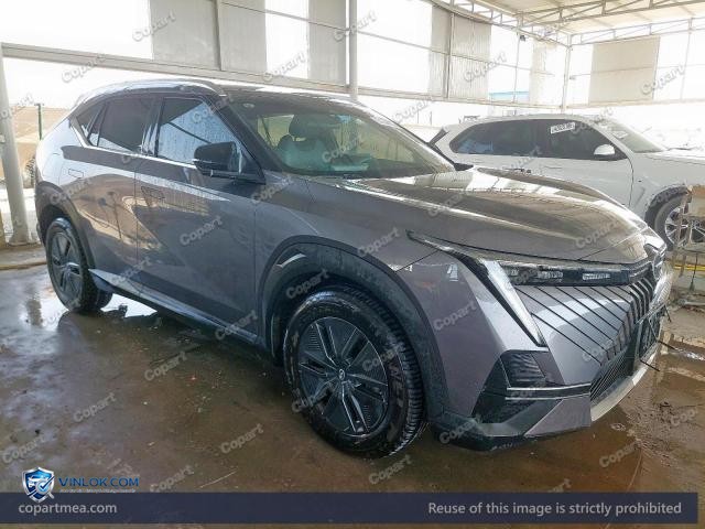 2025 GAC EMKOO — Lot 51388076 auction photo