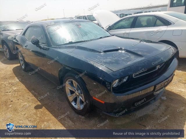 Auction photo