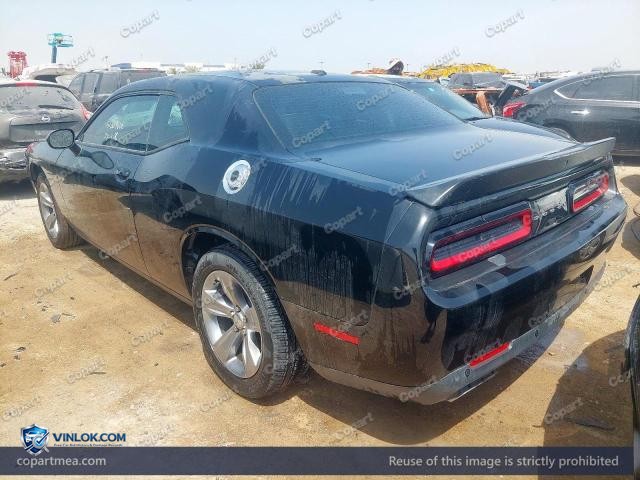Auction photo