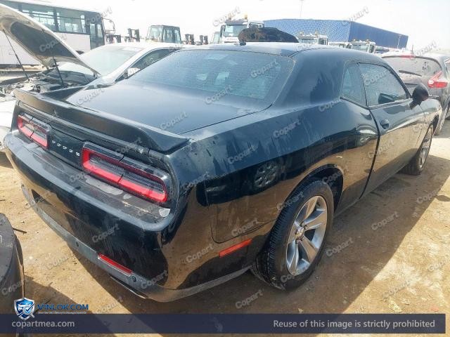 Auction photo