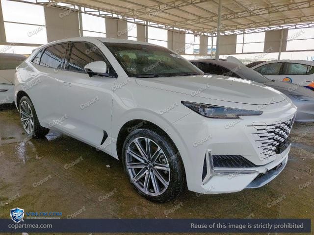 2024 CHAN UNI-K — Lot 51389896 auction photo