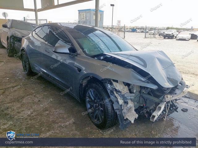 Auction photo
