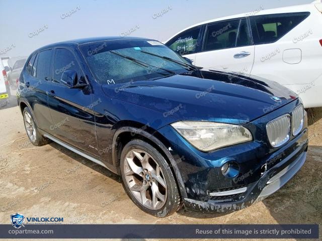 Auction photo