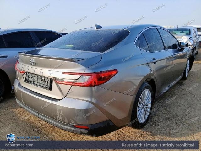 Auction photo
