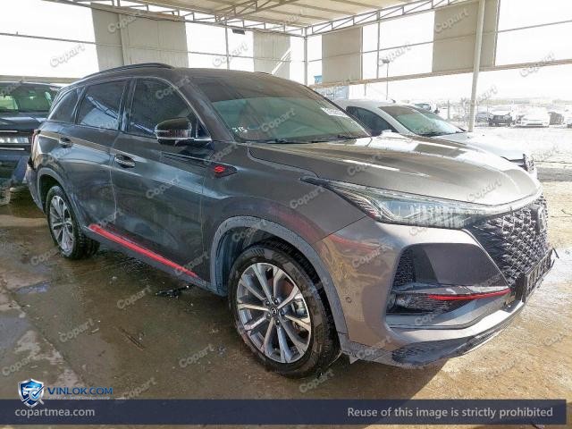 2023 CHAN CS75 — Lot 51555126 auction photo