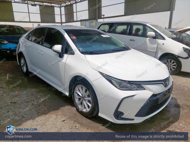 Auction photo