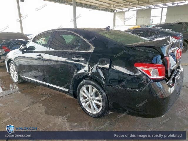 Auction photo
