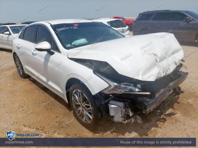 Auction photo