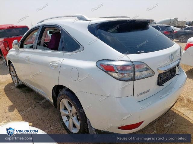 Auction photo