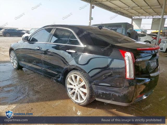 Auction photo