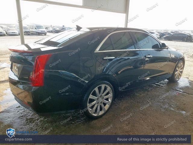 Auction photo