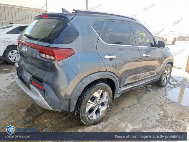 Auction photo