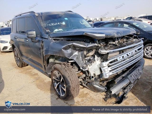 2026 HAVA H9 — Lot 51580286 auction photo