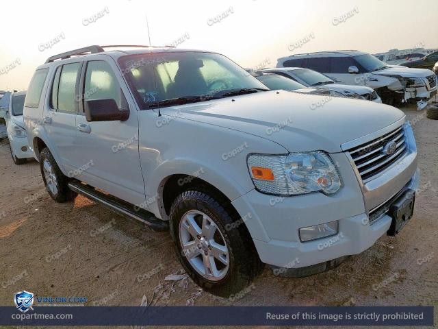 Auction photo