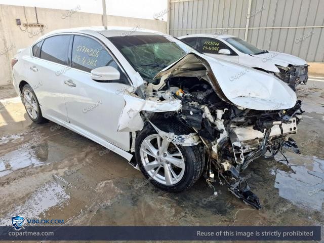 Auction photo