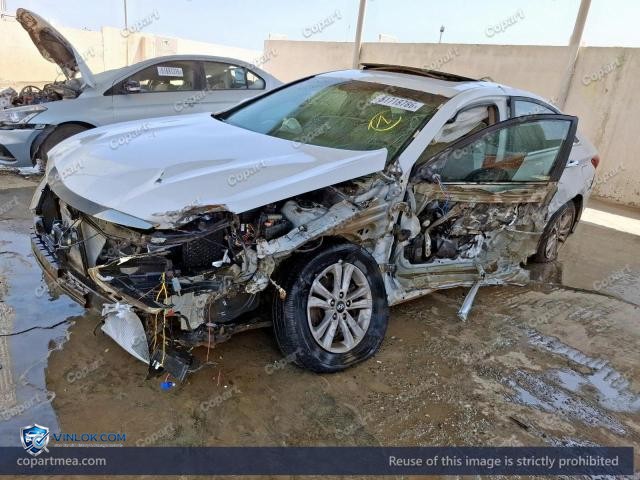 Auction photo