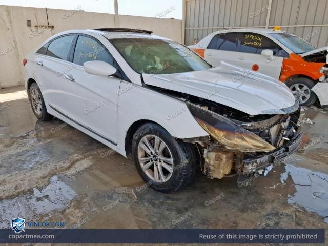 Auction photo
