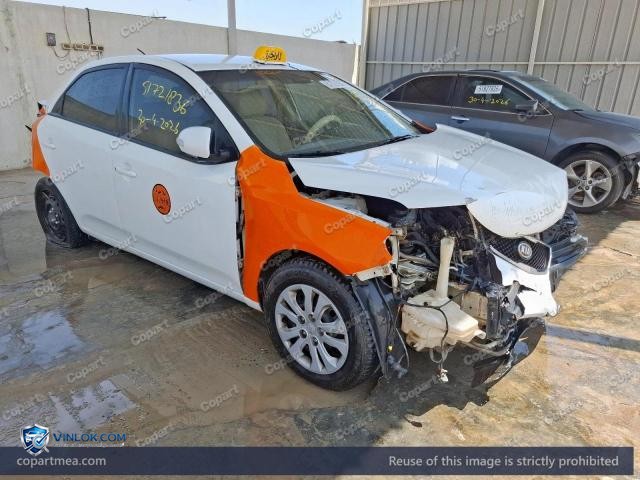 Auction photo