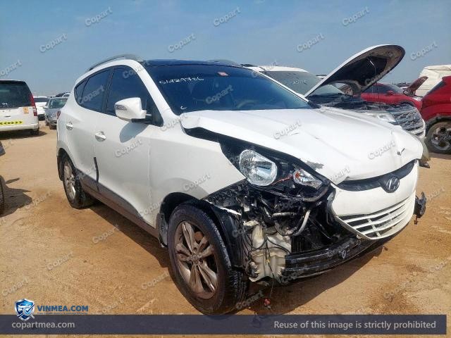 Auction photo