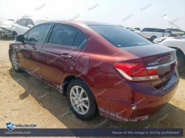 Auction photo