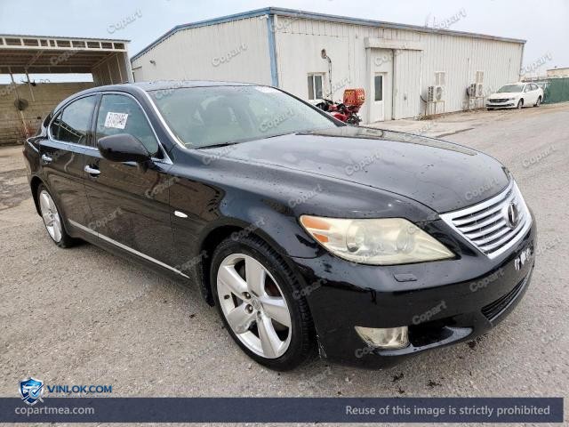 2007 LEXUS LS 460 — Lot 51731146 auction photo